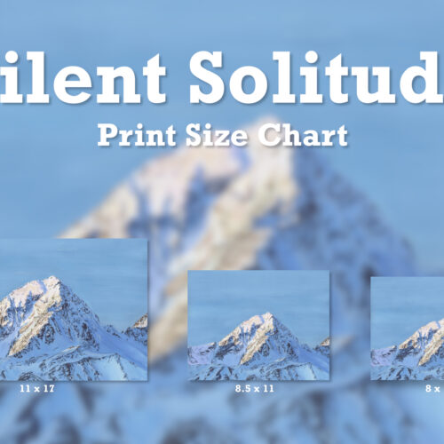 SilentSolitude-size-chart