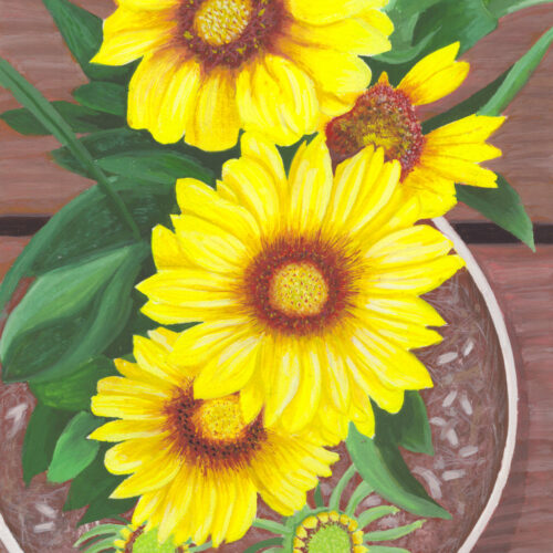 Sunflowers-preview