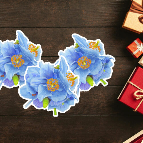 Himalayan Poppy - Sticker