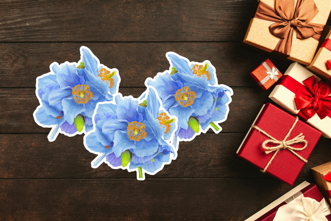 Himalayan Poppy - Sticker