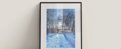 Sunny Winter Trails